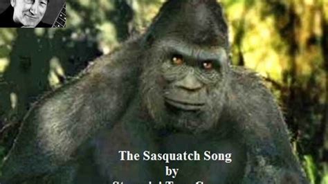 sasquatch lyrics|tom stompin sasquatch song lyrics.